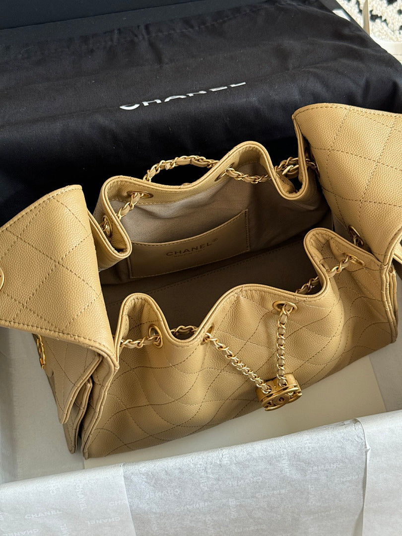 Bolsa Hobo Chanel 25 Small Handbag